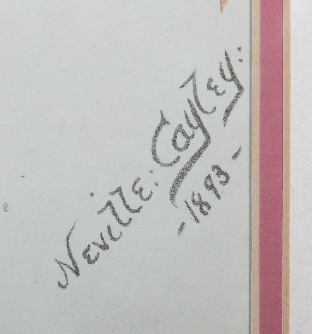 Lithographie d'après Neville Henry Cayley (1854-1903) - 1893, Kookaburras en vente 4