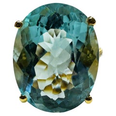 New 14.25 Carat Sea Blue Aquamarine
Diamond Cut Sapphire Yellow Gold Pl Ring New 14.25 Carat Sea Blue Aquamarine
Diamond Cut Sapphire Yellow Gold Pl Ring