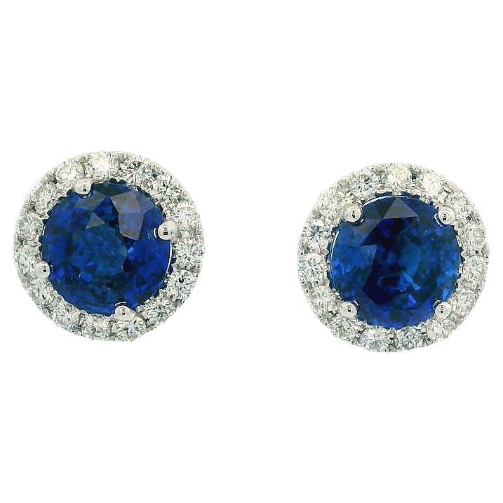 NEW 18k Gold 5.78ctw GIA Round Vivid Blue Sapphire & Diamond Halo Stud Earrings For Sale