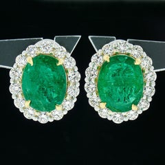 New 18K TT Gold Large 13.04ctw GIA Oval Emerald w/ Round Diamond Halo Earrings