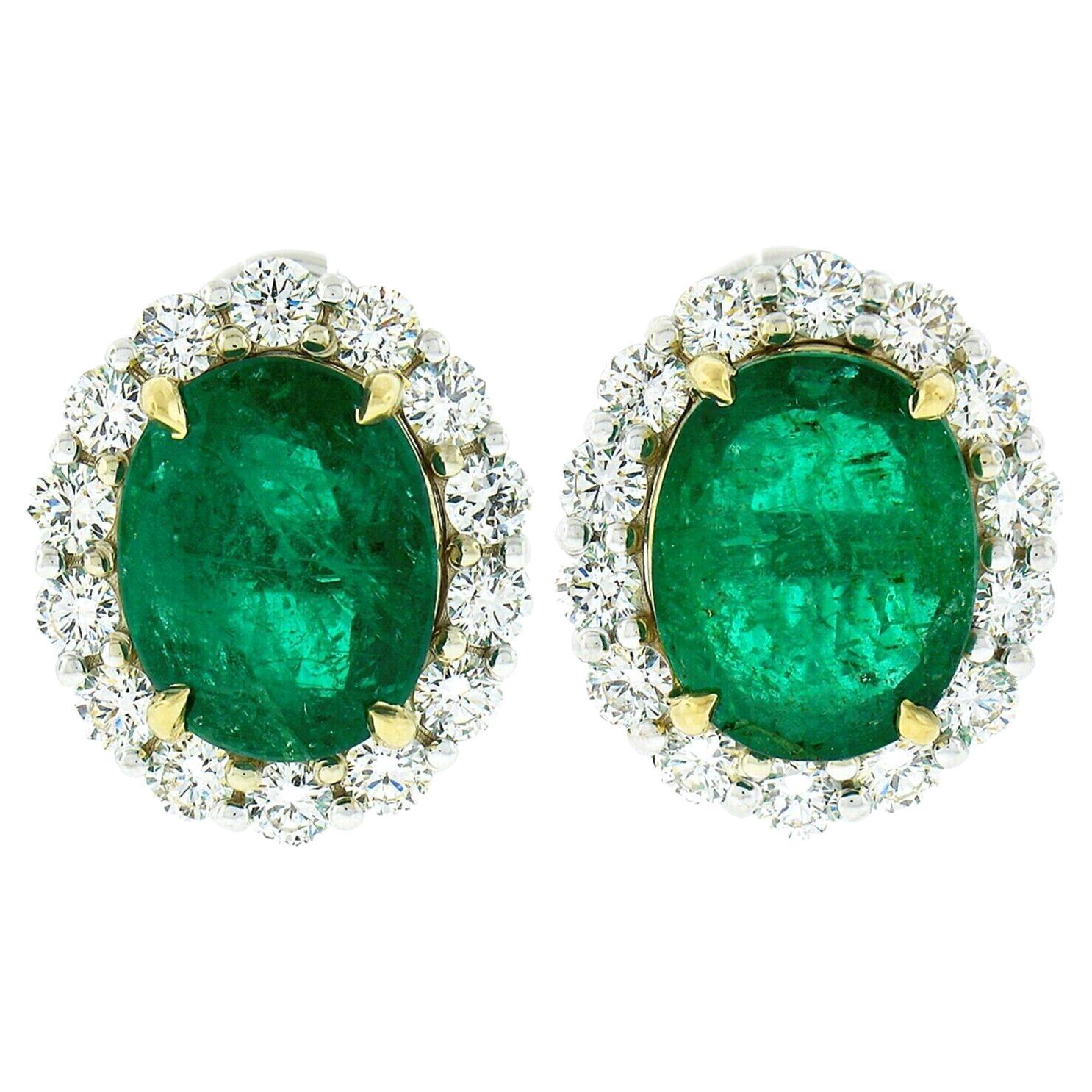 New 18K TT Gold Large 13.04ctw GIA Oval Emerald w/ Round Diamond Halo Earrings For Sale