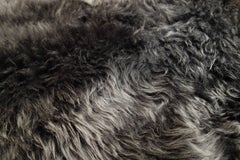 New 6' x 4' Charcoal Gray Plush Sheepskin Rug, Five Available