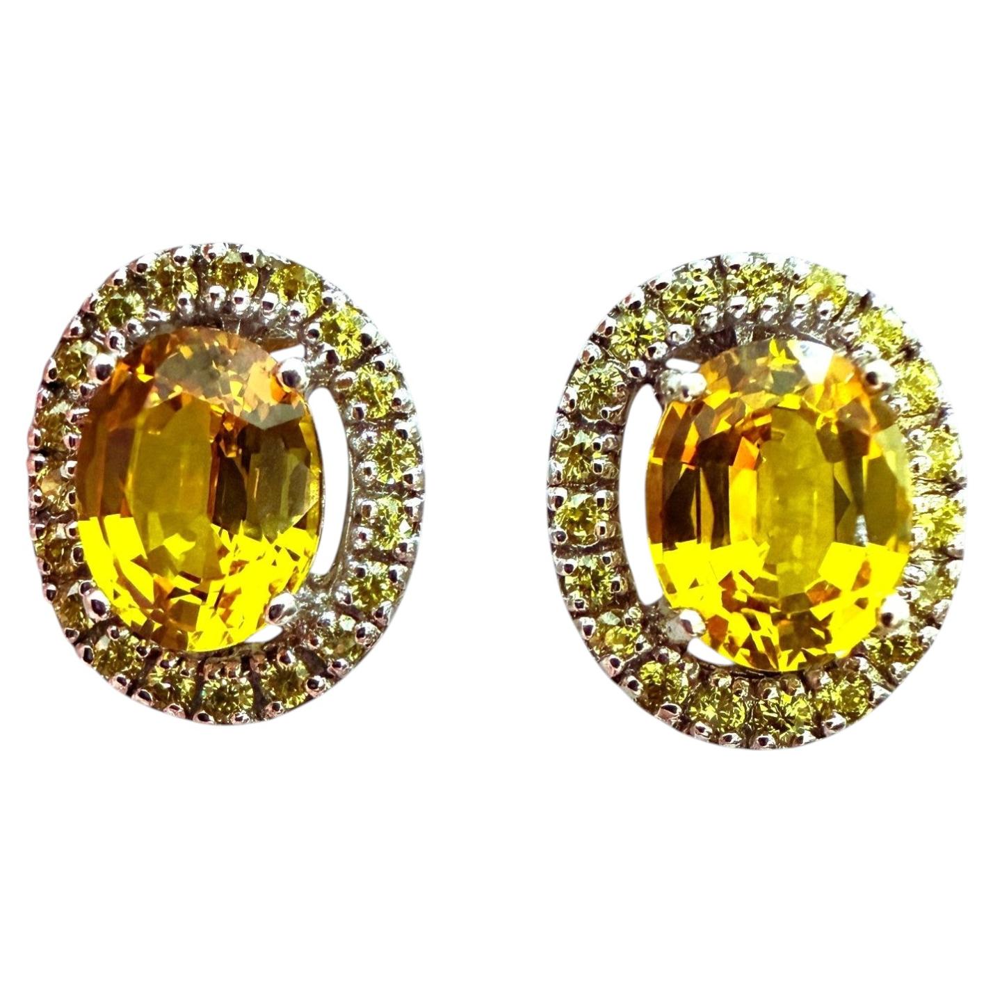 New 6.35 Carat Yellow Sapphire & Diamond Cut Sapphire Sterling Earrings
