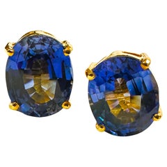 New 9.55 Carat Blue Sapphire Yellow Gold PL Sterling Silver Post Earrings