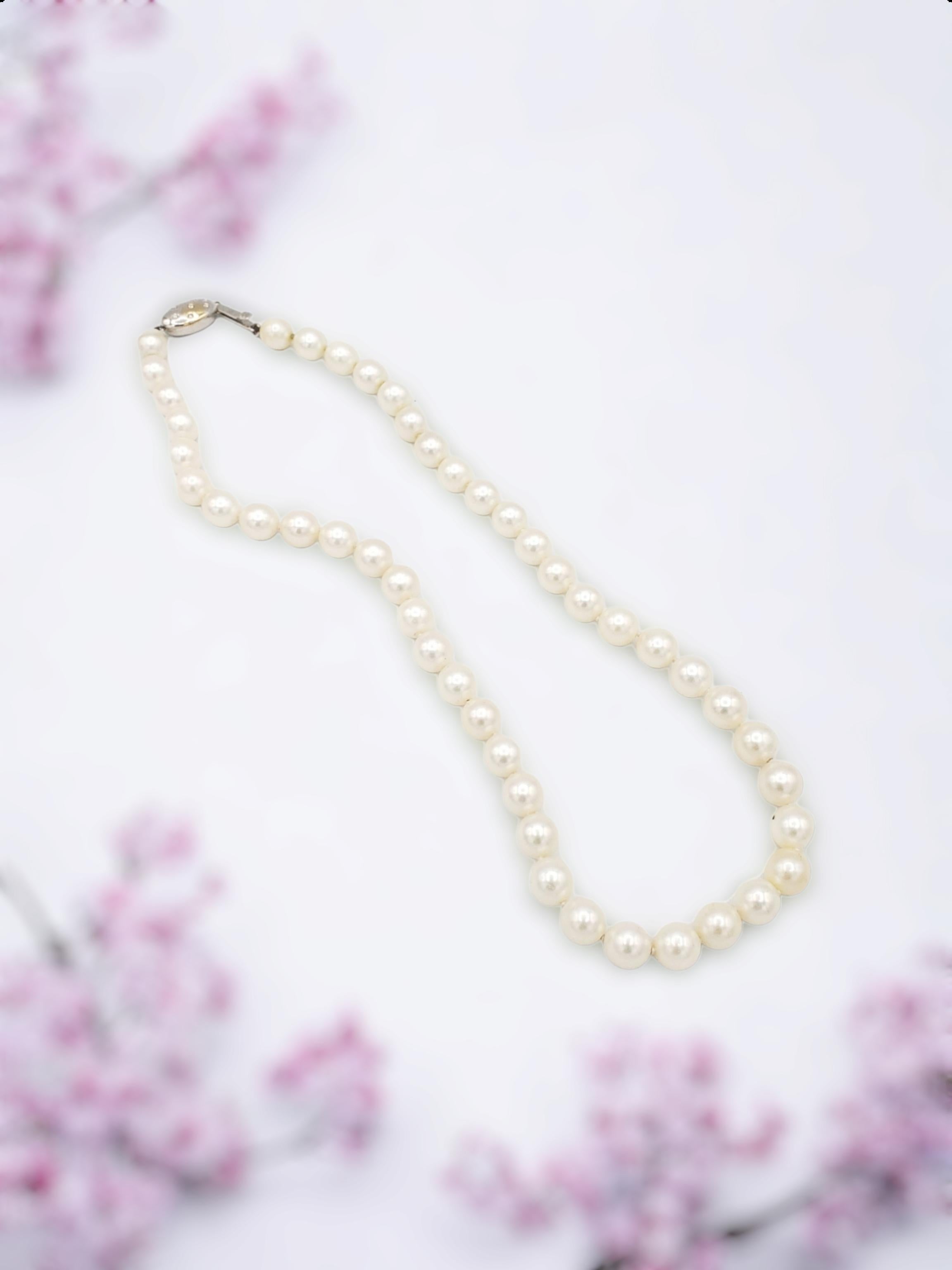 AAA+ Qualität Japanische Akoya Salz-Wasser-Halskette mit weißen Perlen im Angebot 7