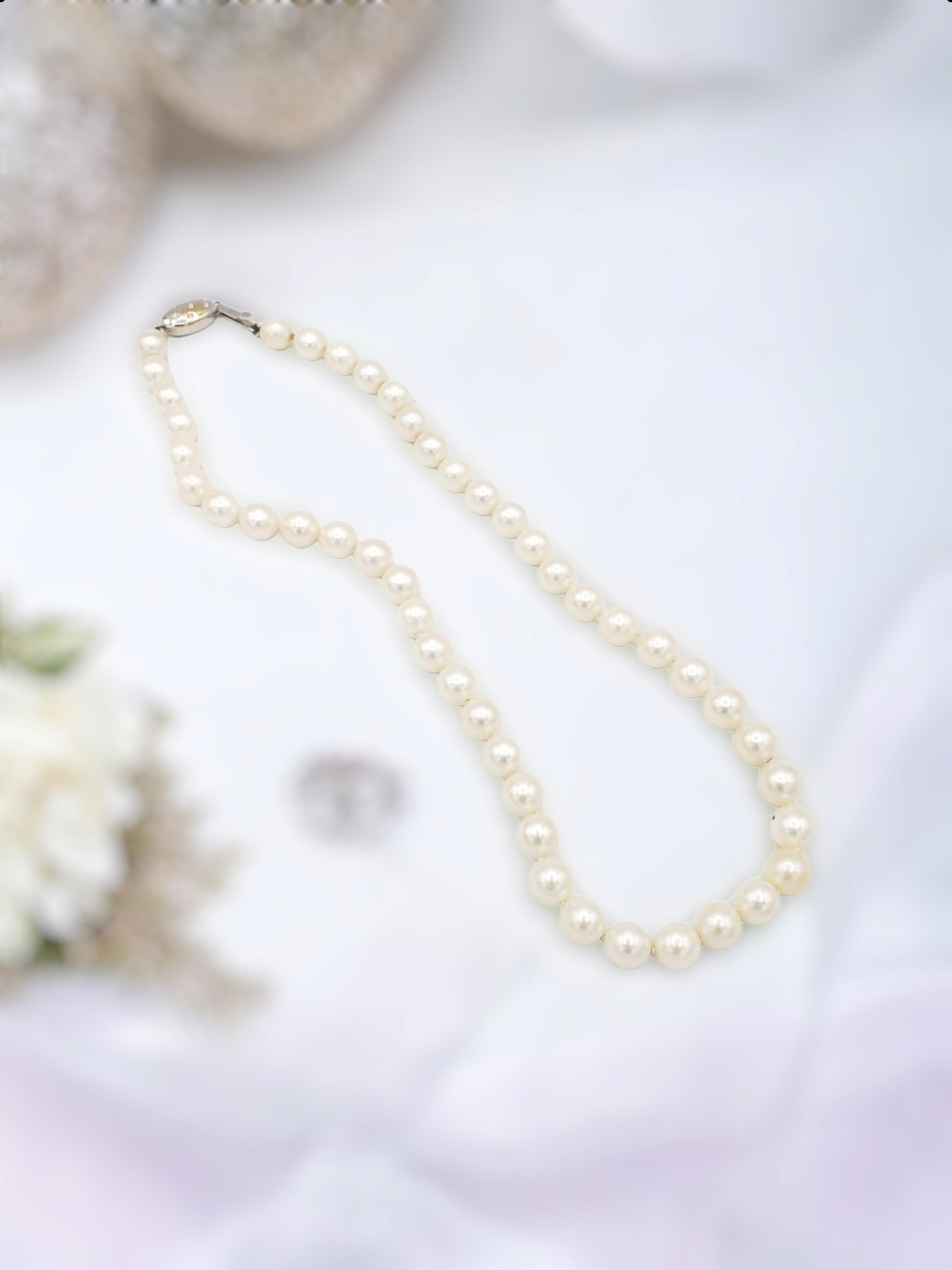 AAA+ Qualität Japanische Akoya Salz-Wasser-Halskette mit weißen Perlen im Angebot 3