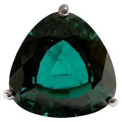 New African IF 13.5 Ct  Apatite Paraiba Green Trilliant Sterling Ring