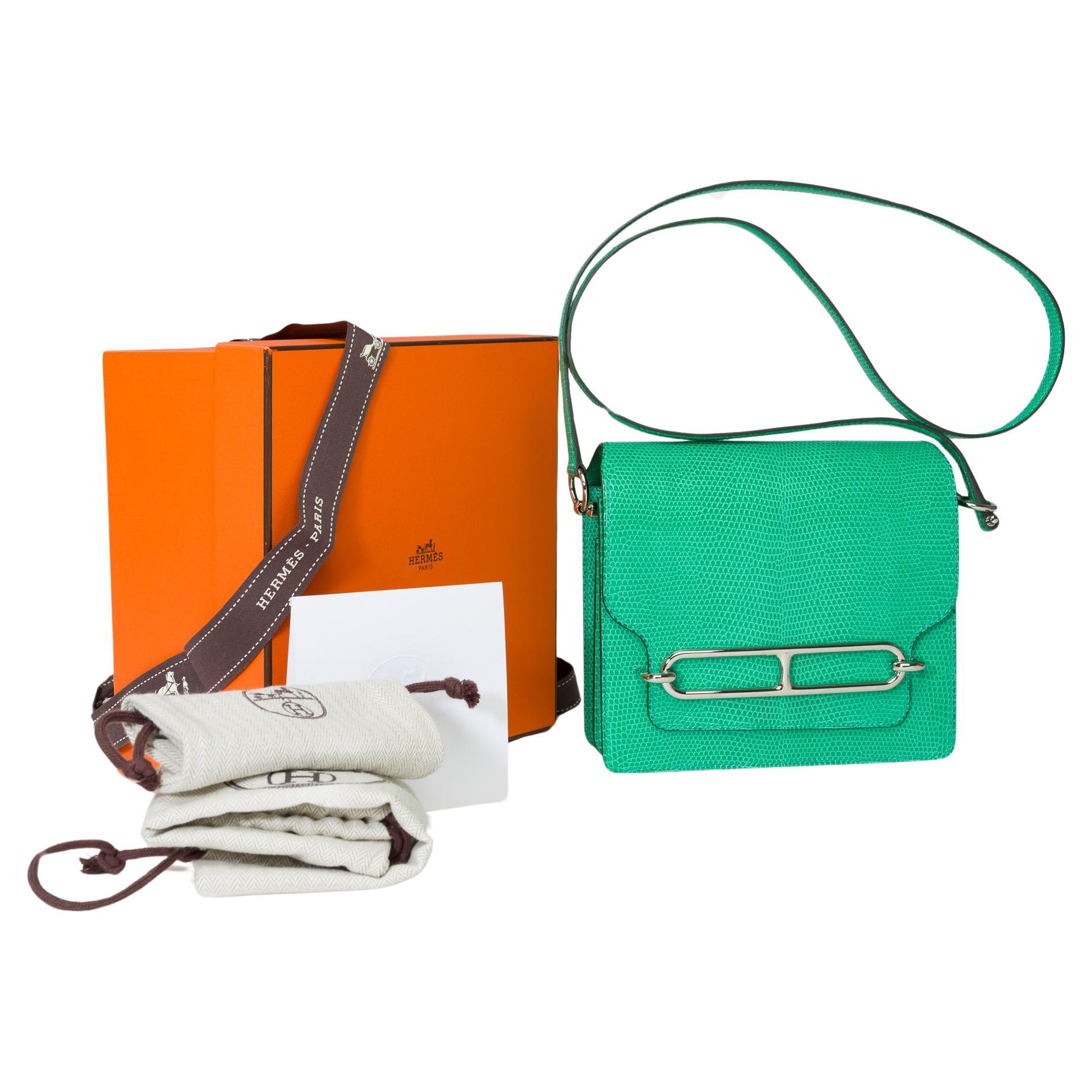 New Amazing Hermès Roulis 18 shoulder bag in mint green lizard, SHW For Sale