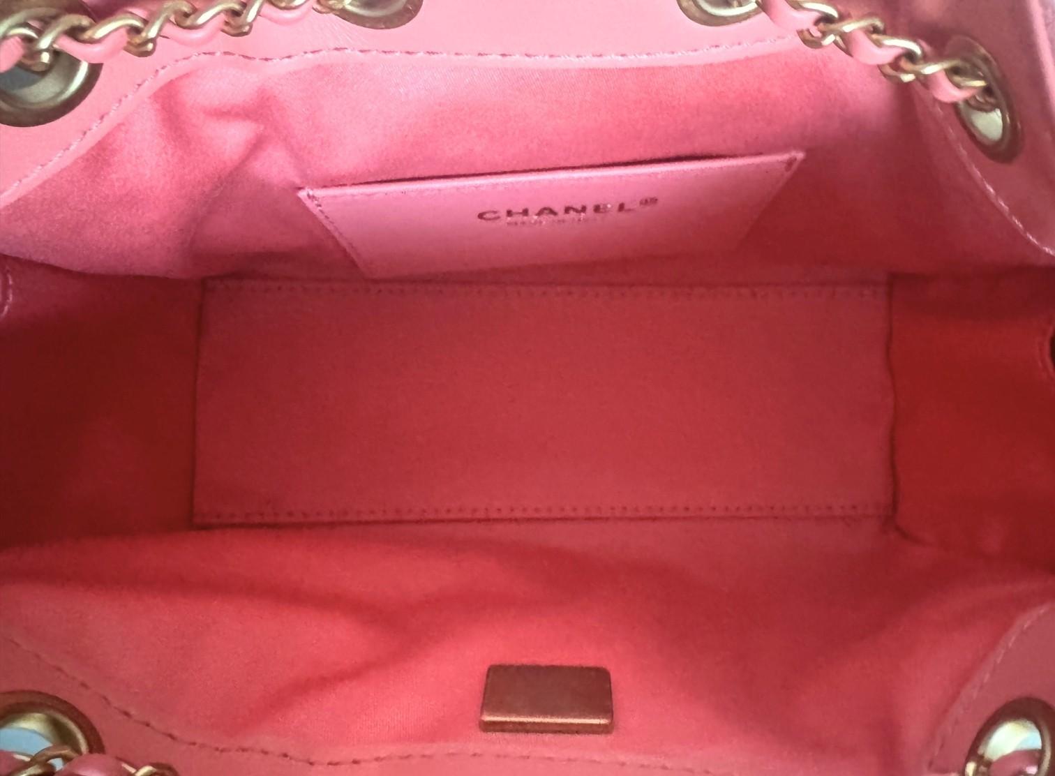 NEW Chanel 26C Mini Hobo Shoulder Bag in Pink Suede with Gold Hardware en vente 4