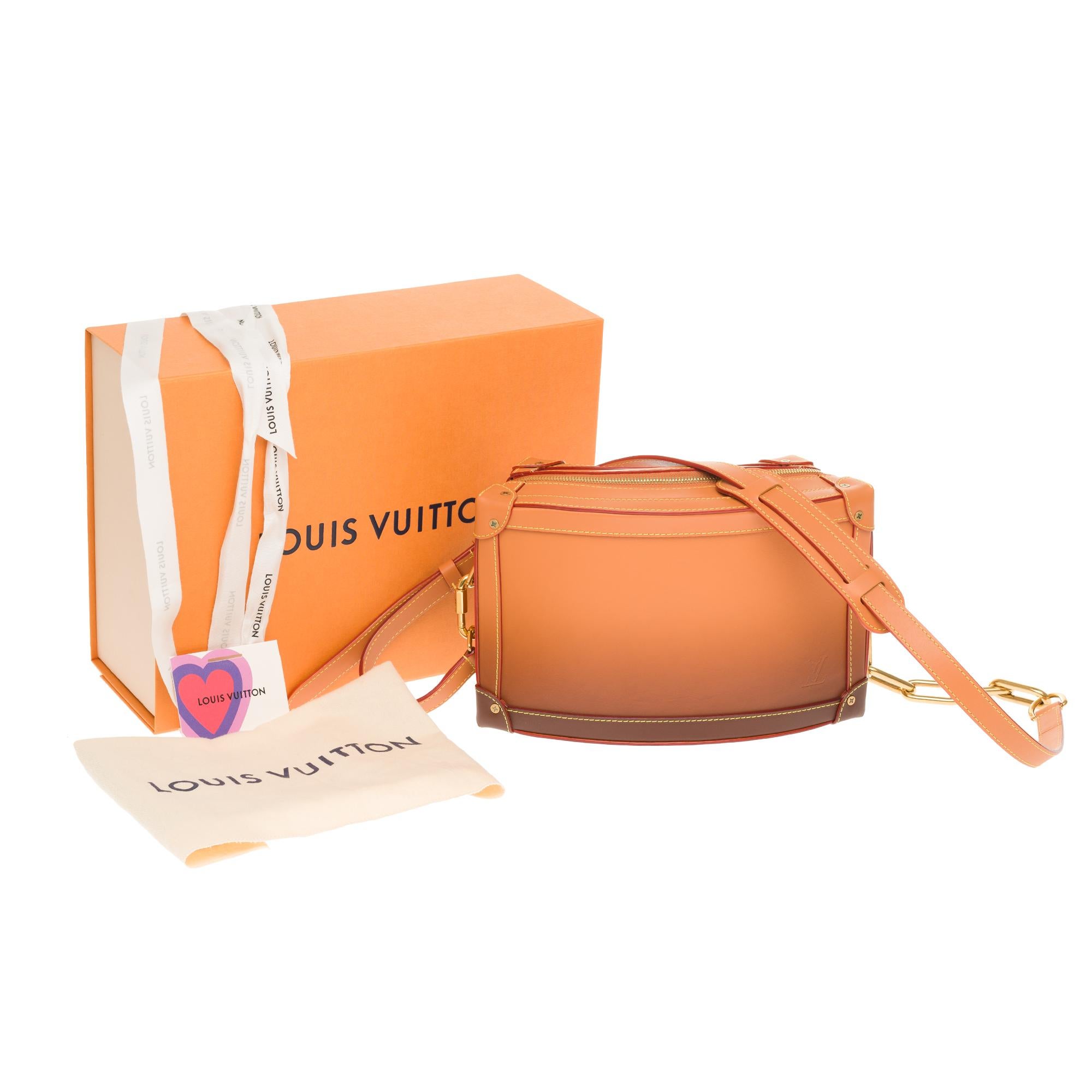 NEW-COLLECTIBLE- MEN FASHION SHOWS 2020-Louis Vuitton soft Trunk in brown calf 7