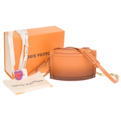 NEW-COLLECTIBLE- MEN FASHION SHOWS 2020-Louis Vuitton soft Trunk in brown calf