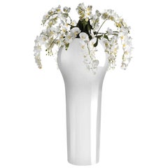 Composizione New Delhi, Fiori, Vaso, Uso interno, Italia