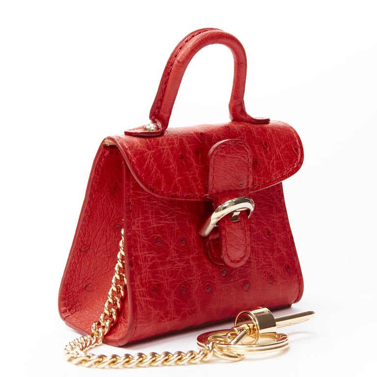 NINE JEWEL FROM DELVAUX MADAME CHARMS BAG STORM OSTRICH LEATHER