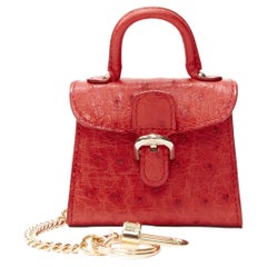 new DELVAUX Brilliant red ostrich leather gold clasp bag charm micro bag