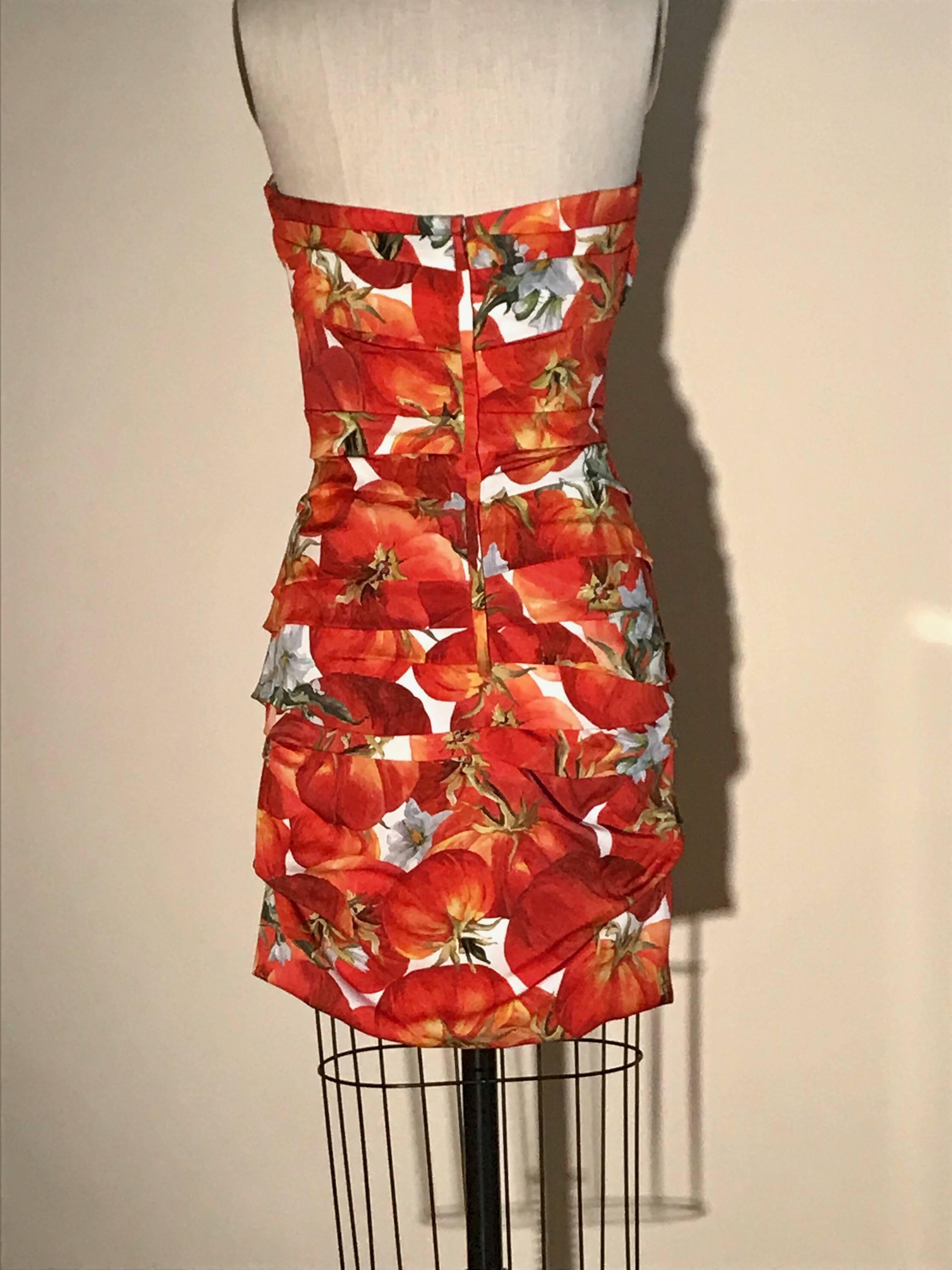 dolce & gabbana tomato dress