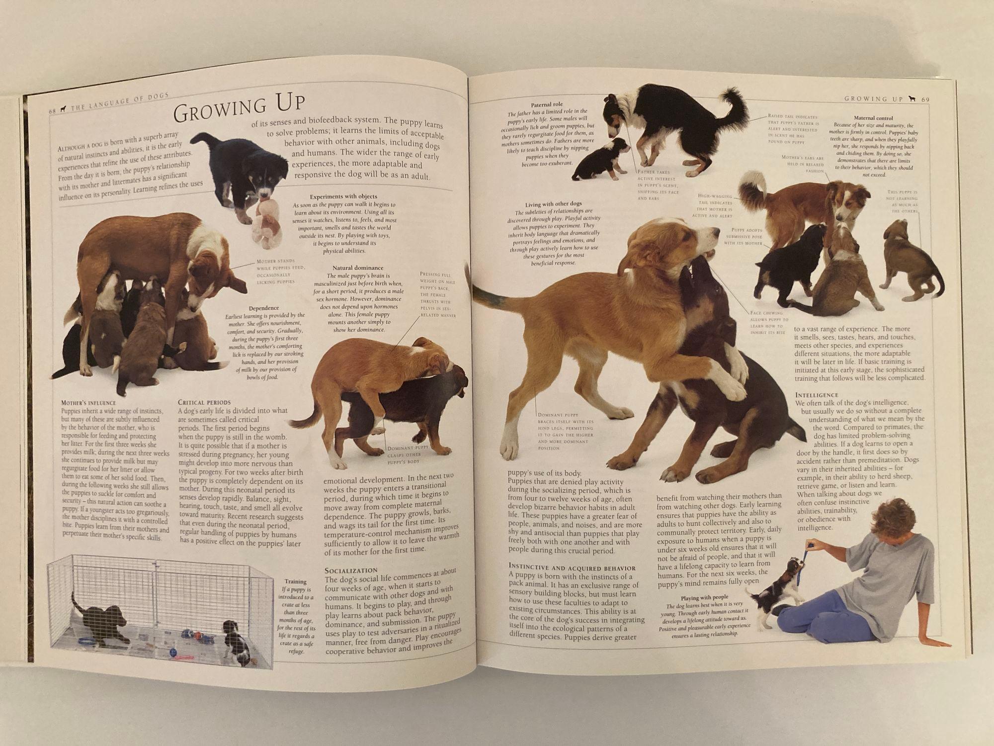 Paper New Encyclopedia of Dog Hardcover Book by Bruce Fogle For Sale
