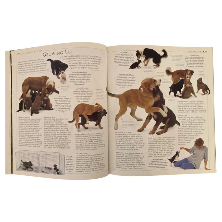 New Encyclopedia of Dog Hardcover Book by Bruce Fogle For Sale at