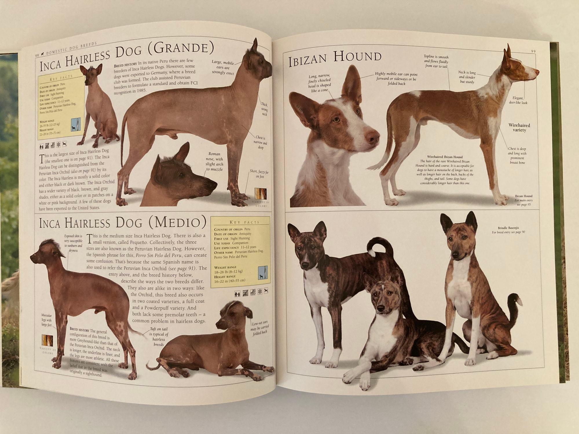 New Encyclopedia of Dog Livre à couverture rigide de Bruce Fogle en vente 4