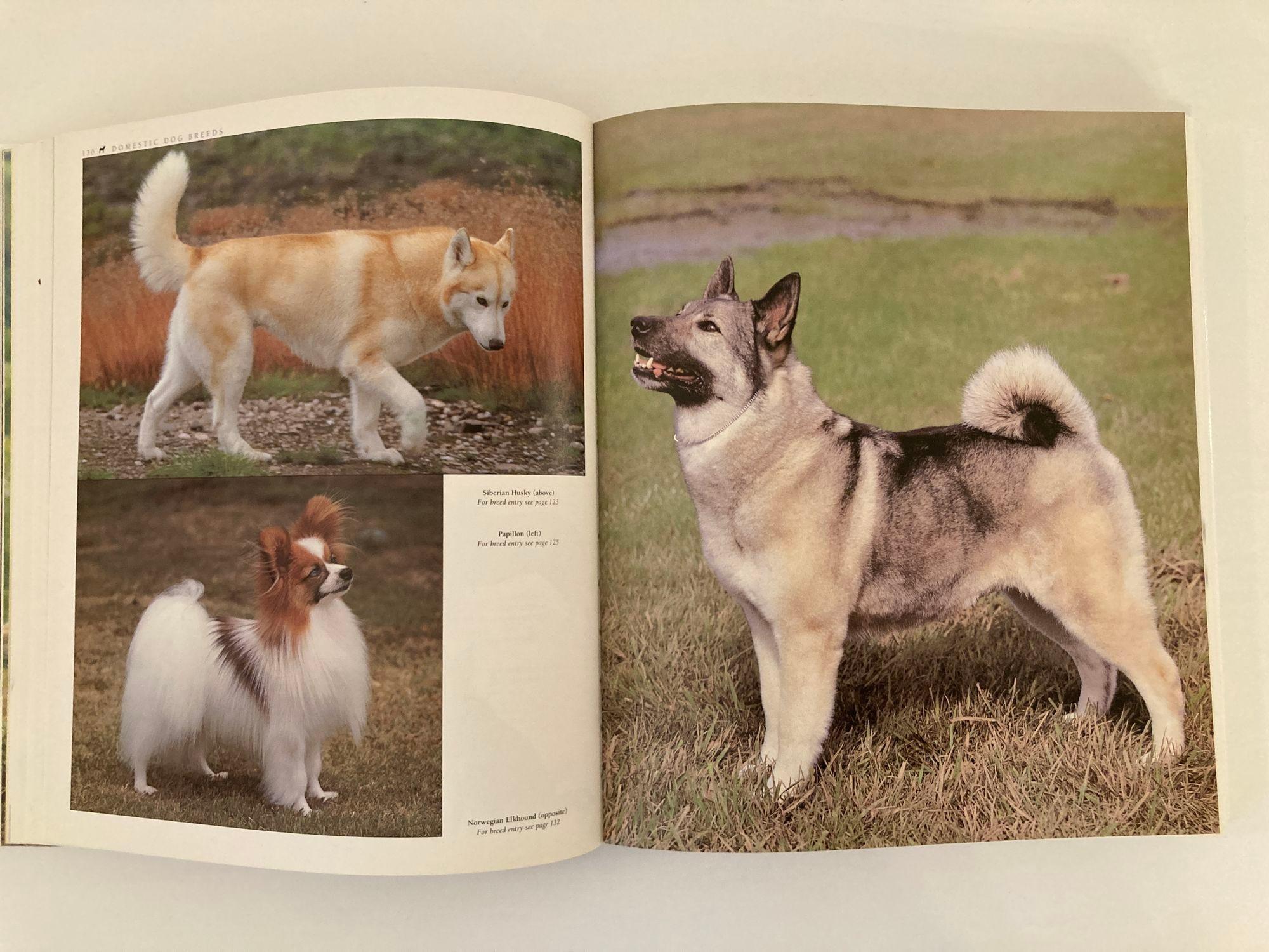 New Encyclopedia of Dog Livre à couverture rigide de Bruce Fogle en vente 5