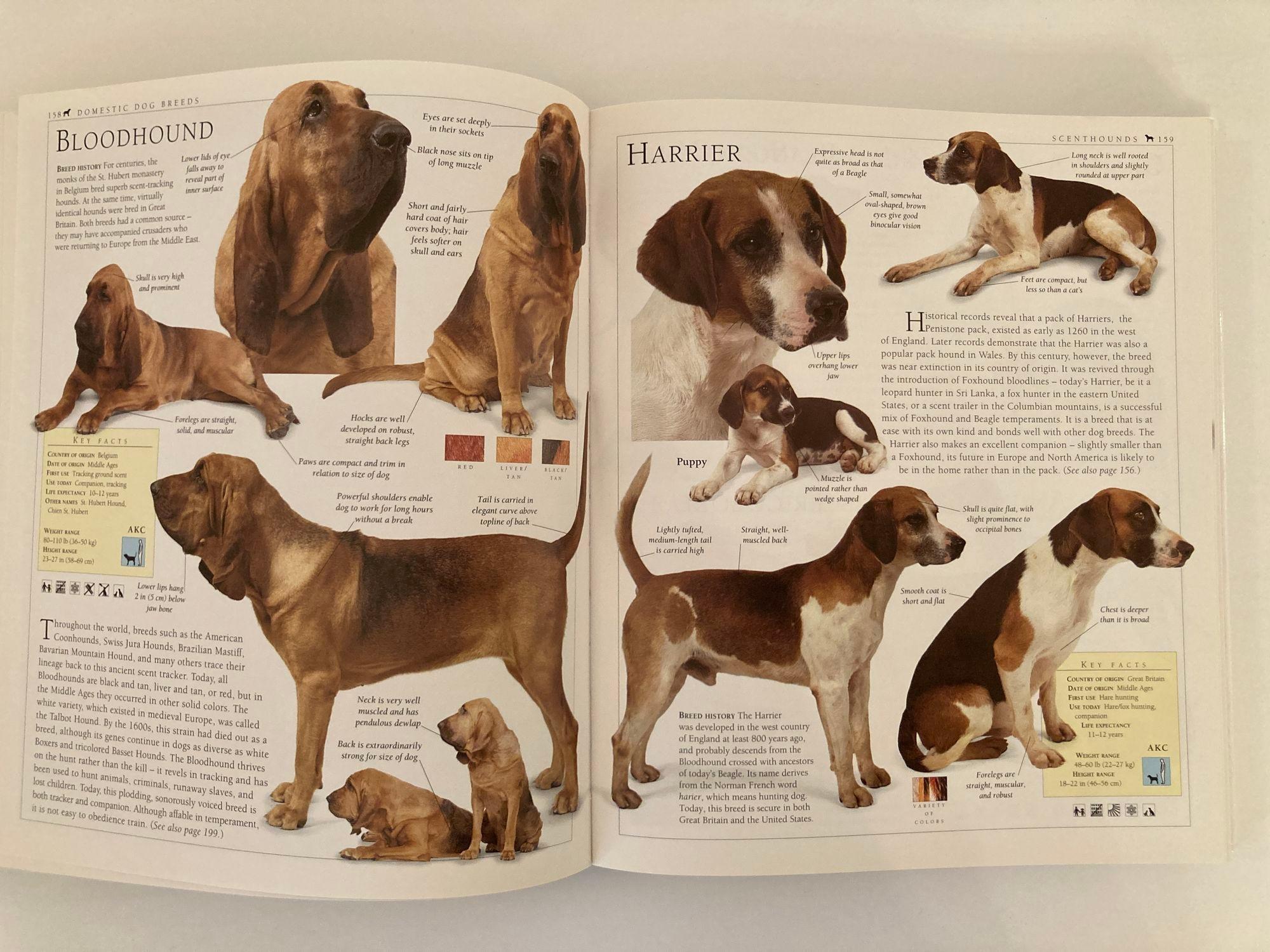 New Encyclopedia of Dog Hardcover Book by Bruce Fogle For Sale 3