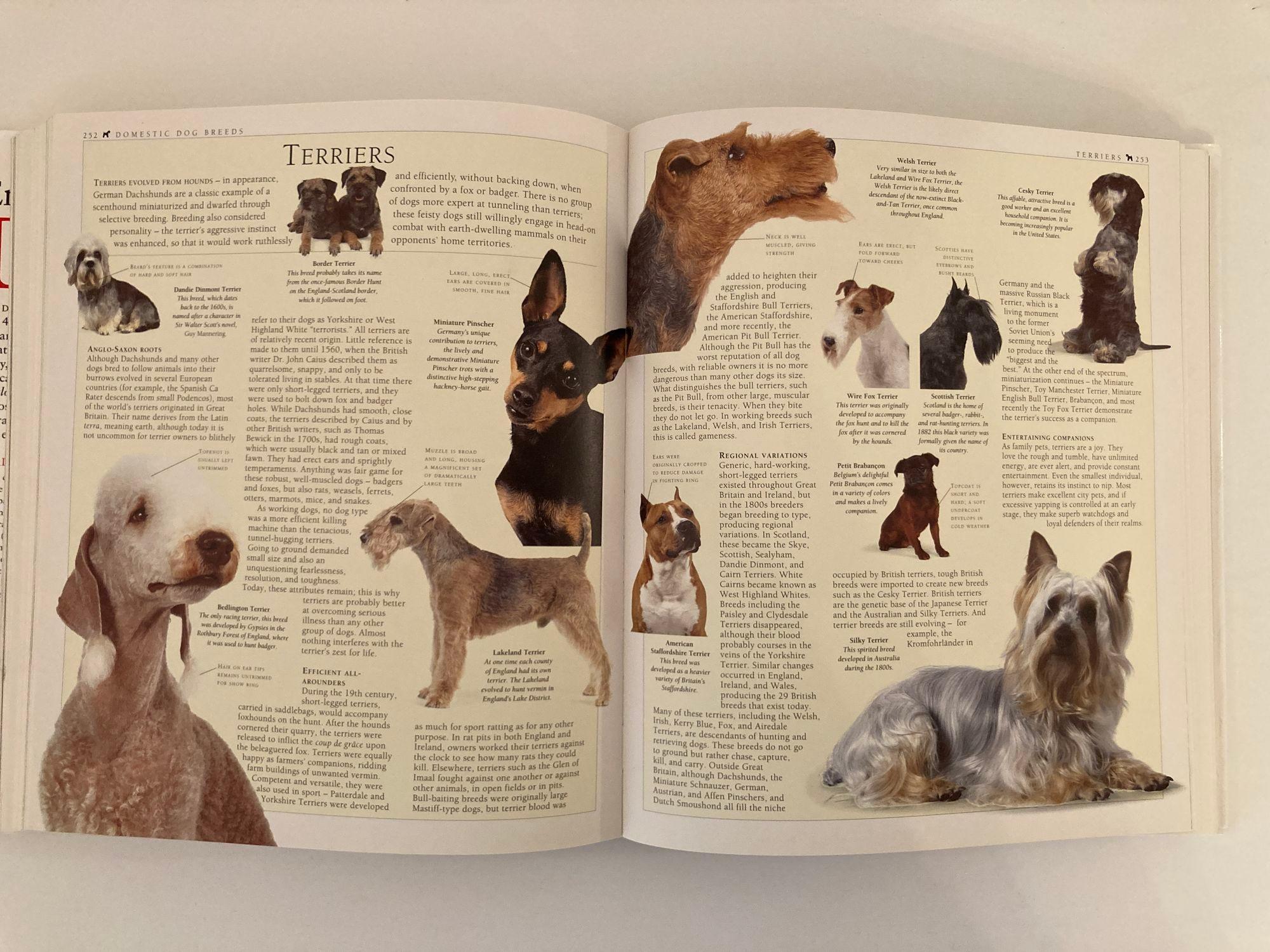 New Encyclopedia of Dog Hardcover Book by Bruce Fogle For Sale 4