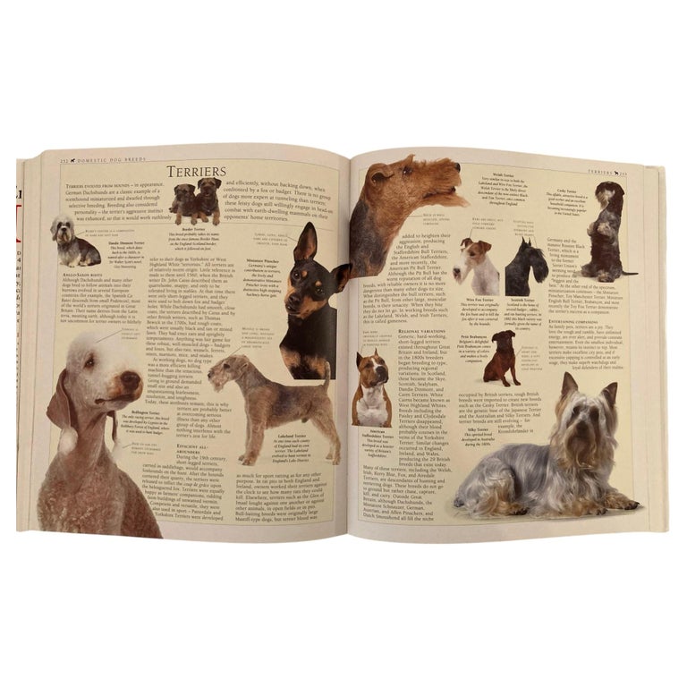 New Encyclopedia of Dog Hardcover Book by Bruce Fogle For Sale at