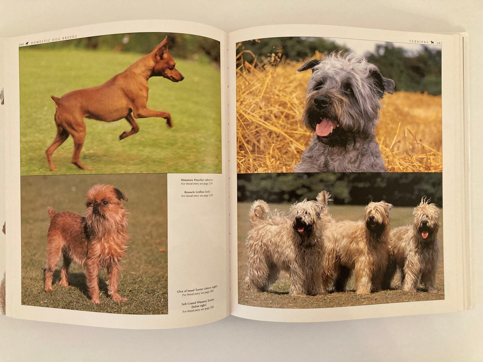 New Encyclopedia of Dog Livre à couverture rigide de Bruce Fogle en vente 8
