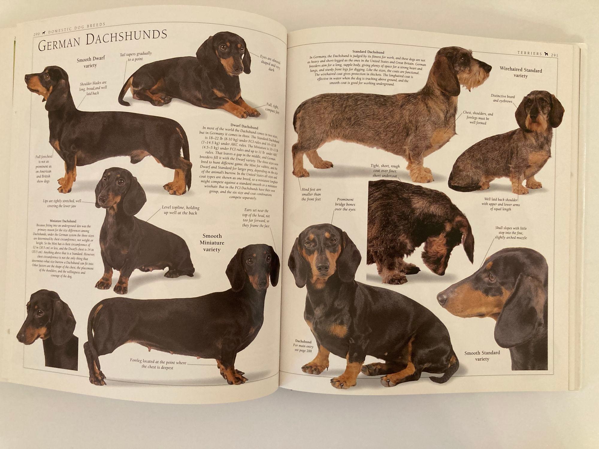 New Encyclopedia of Dog Hardcover Book by Bruce Fogle For Sale 6