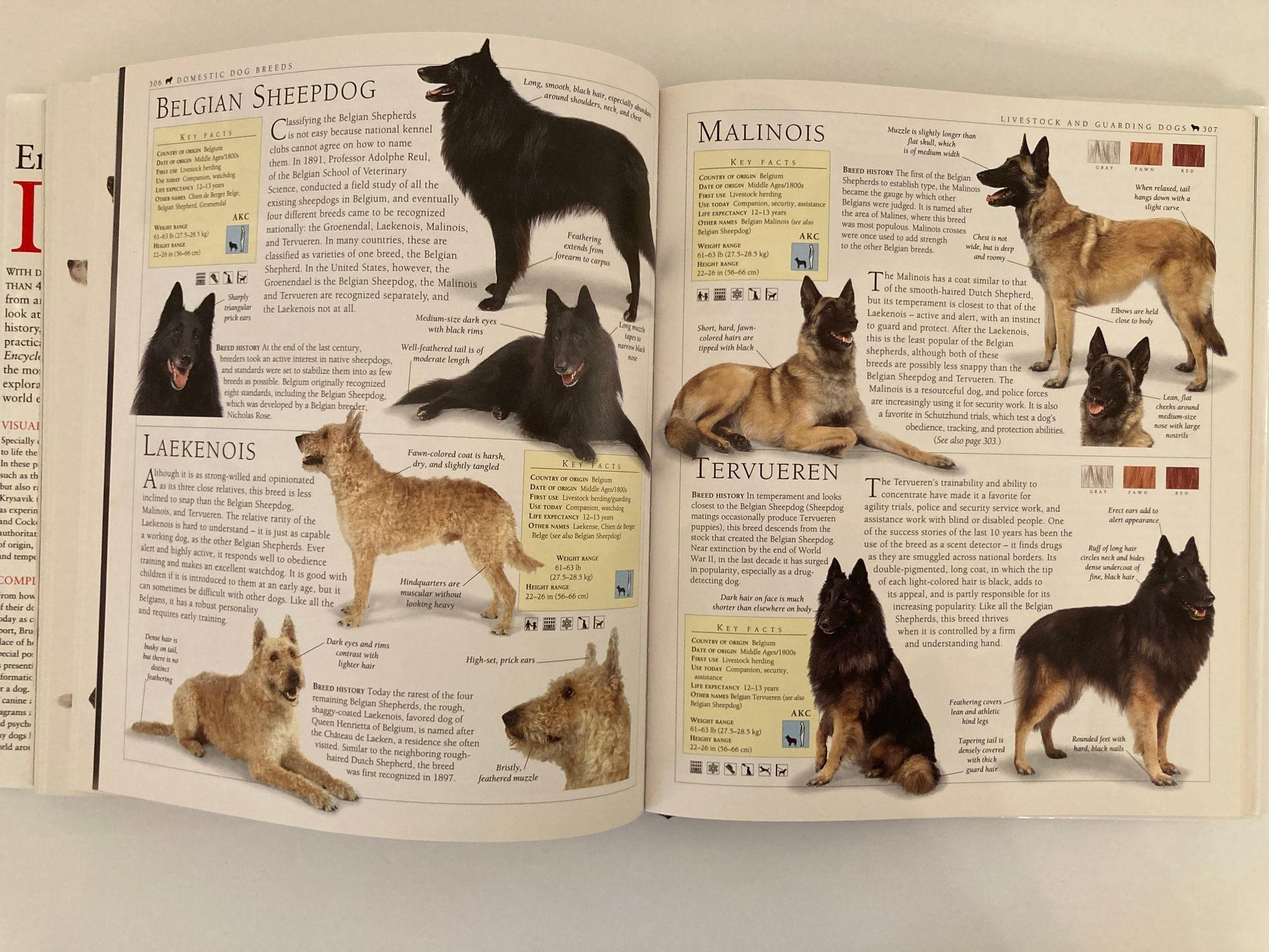 New Encyclopedia of Dog Livre à couverture rigide de Bruce Fogle en vente 10