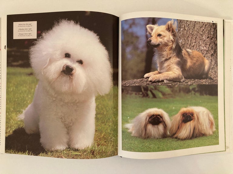 New Encyclopedia of Dog Hardcover Book by Bruce Fogle For Sale at