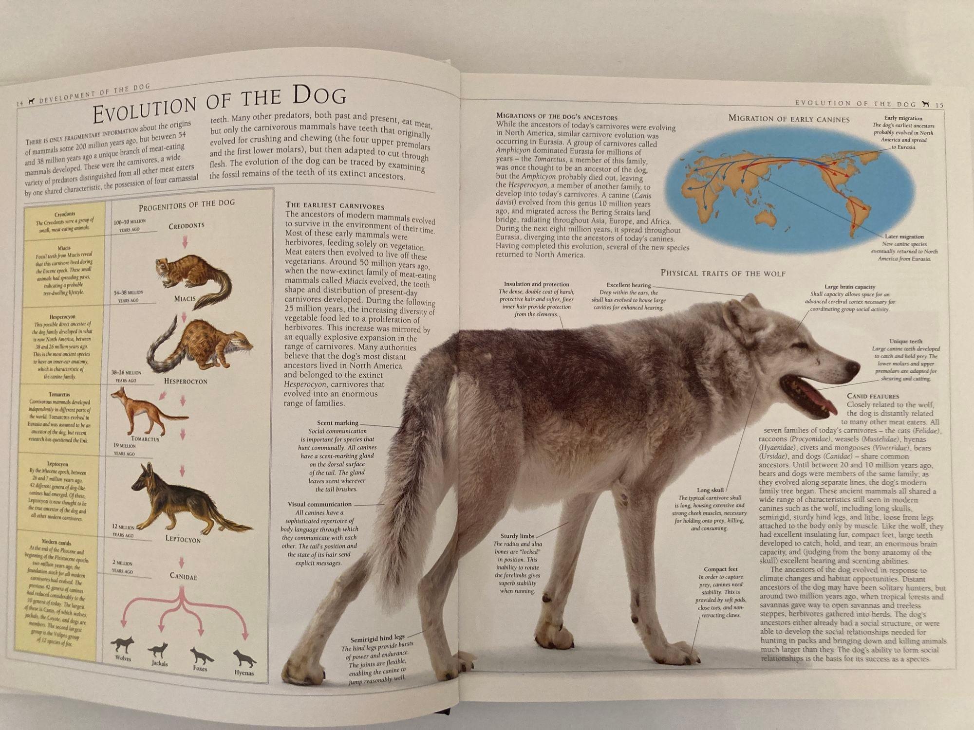 New Encyclopedia of Dog Livre à couverture rigide de Bruce Fogle en vente 2
