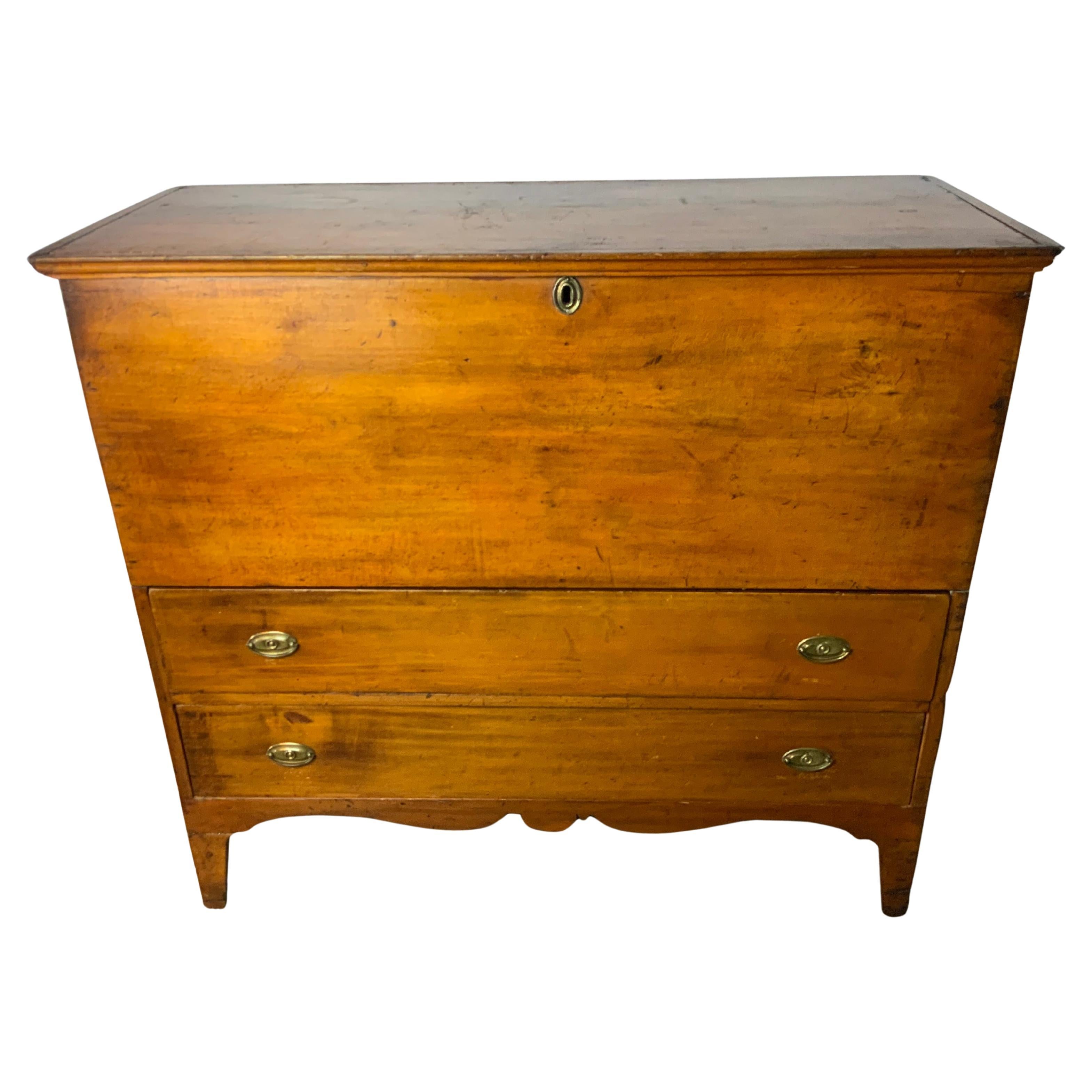 New England Mule Chest For Sale