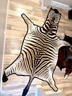 New Felted Trophy Grade Burchell Zebra Skin Rug Hide Carpet Decor Flooring