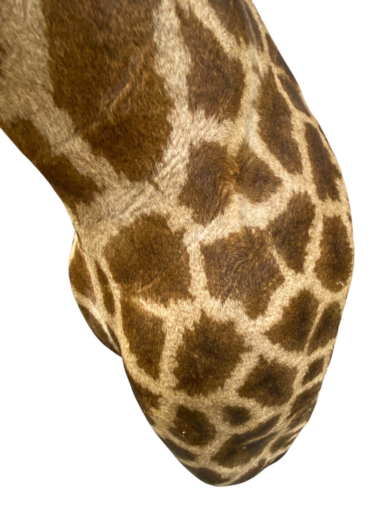 Size (+/- 3 Inches): 99