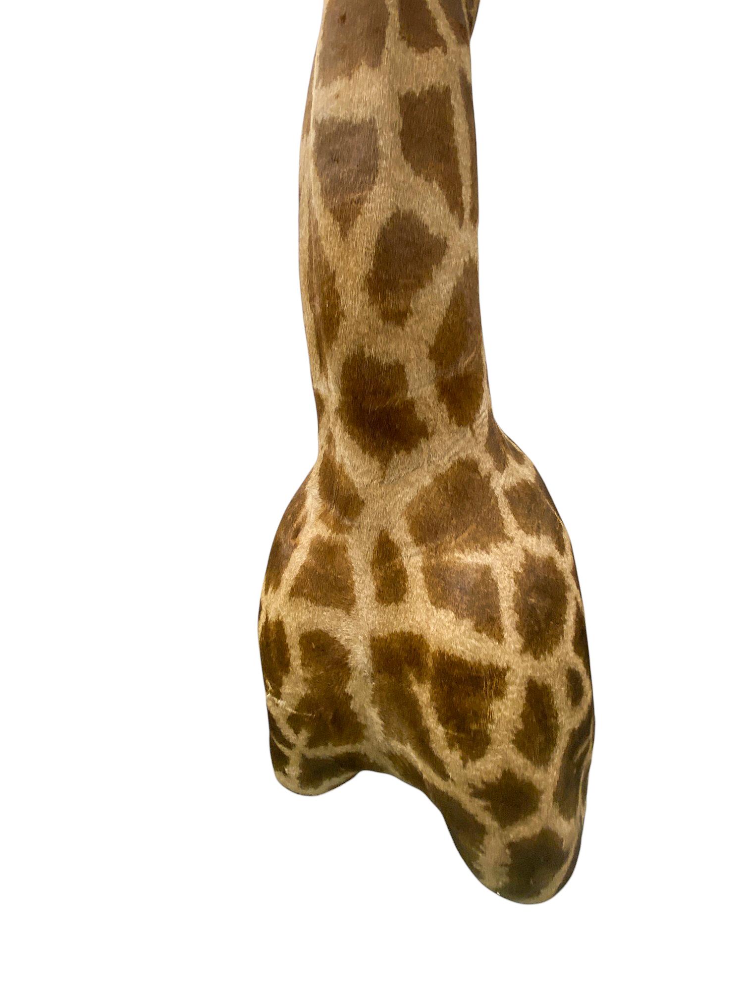 New! Giraffe Taxidermy Shoulder Mount In Excellent Condition for All Interiors In New Condition For Sale In Farmington, UT