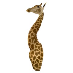 New! Giraffe Taxidermy Shoulder Mount In Excellent Condition for All Interiors