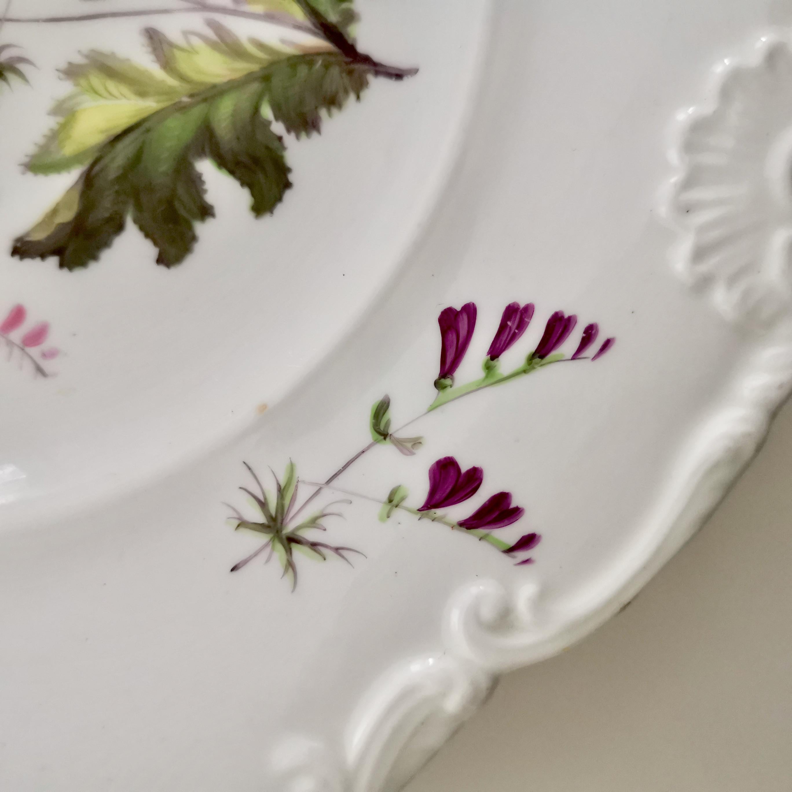 New Hall Porcelain Plate, White with Flowers, Inverted Shell, Regency circa 1820 4