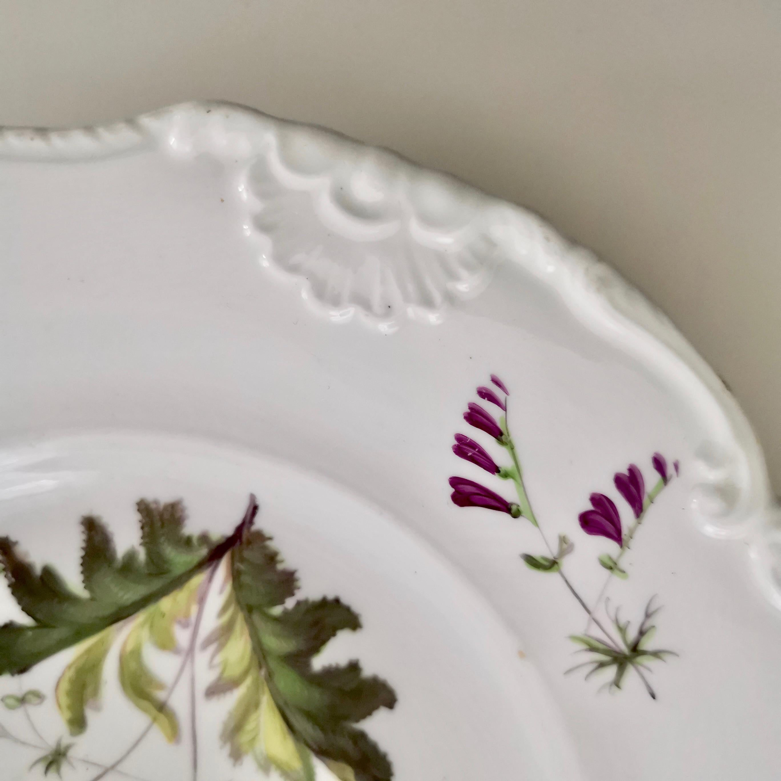 New Hall Porcelain Plate, White with Flowers, Inverted Shell, Regency circa 1820 6