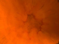 Nuovo piatto in ceramica Hand Made e unico colore arancione