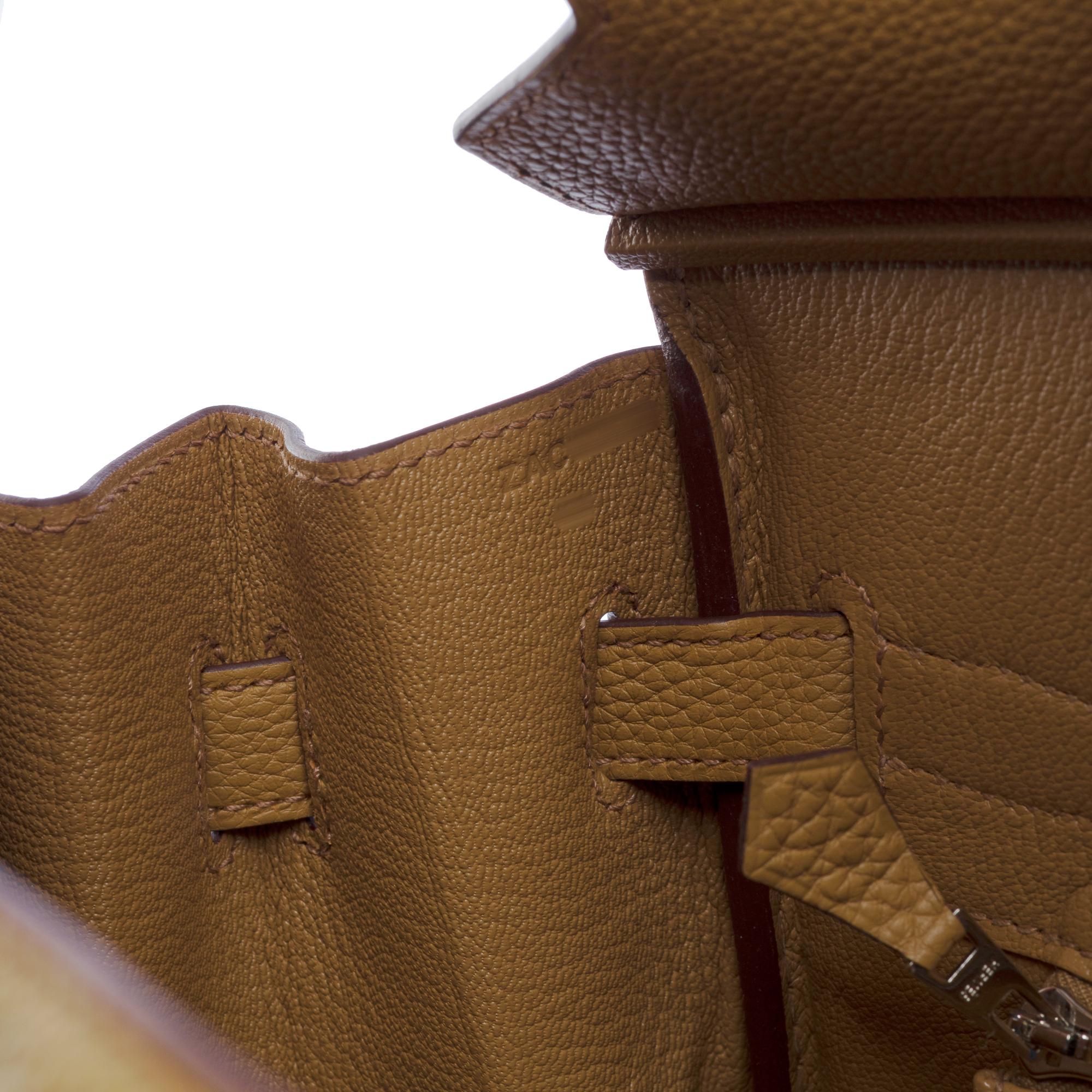New Hermes Birkin 30 handbag in Biscuit Togo Calf leather, PHW For Sale 3