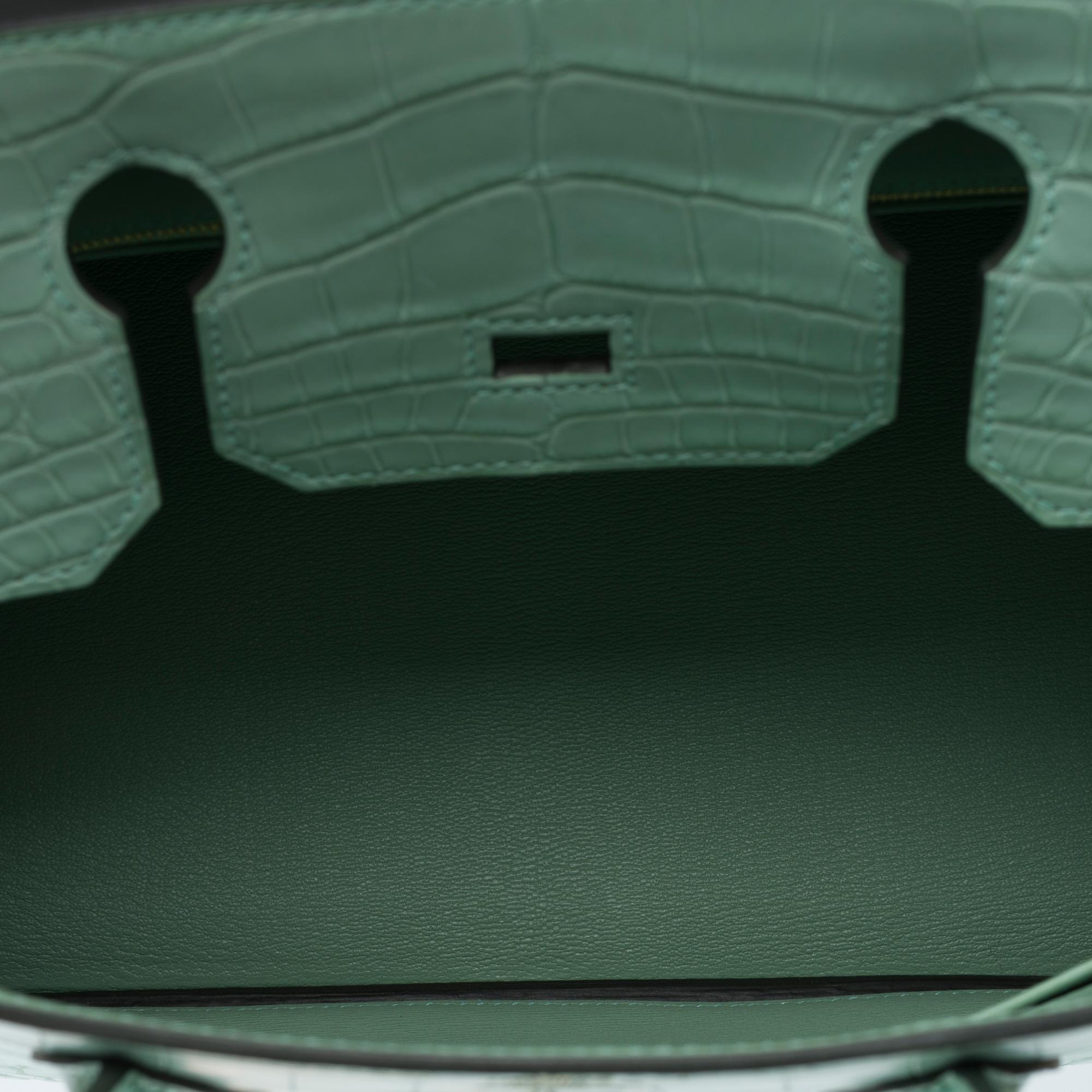 Nouveau Sac à main Hermès Birkin 30 en Alligator Vert d'eau Mat, GHW en vente 1