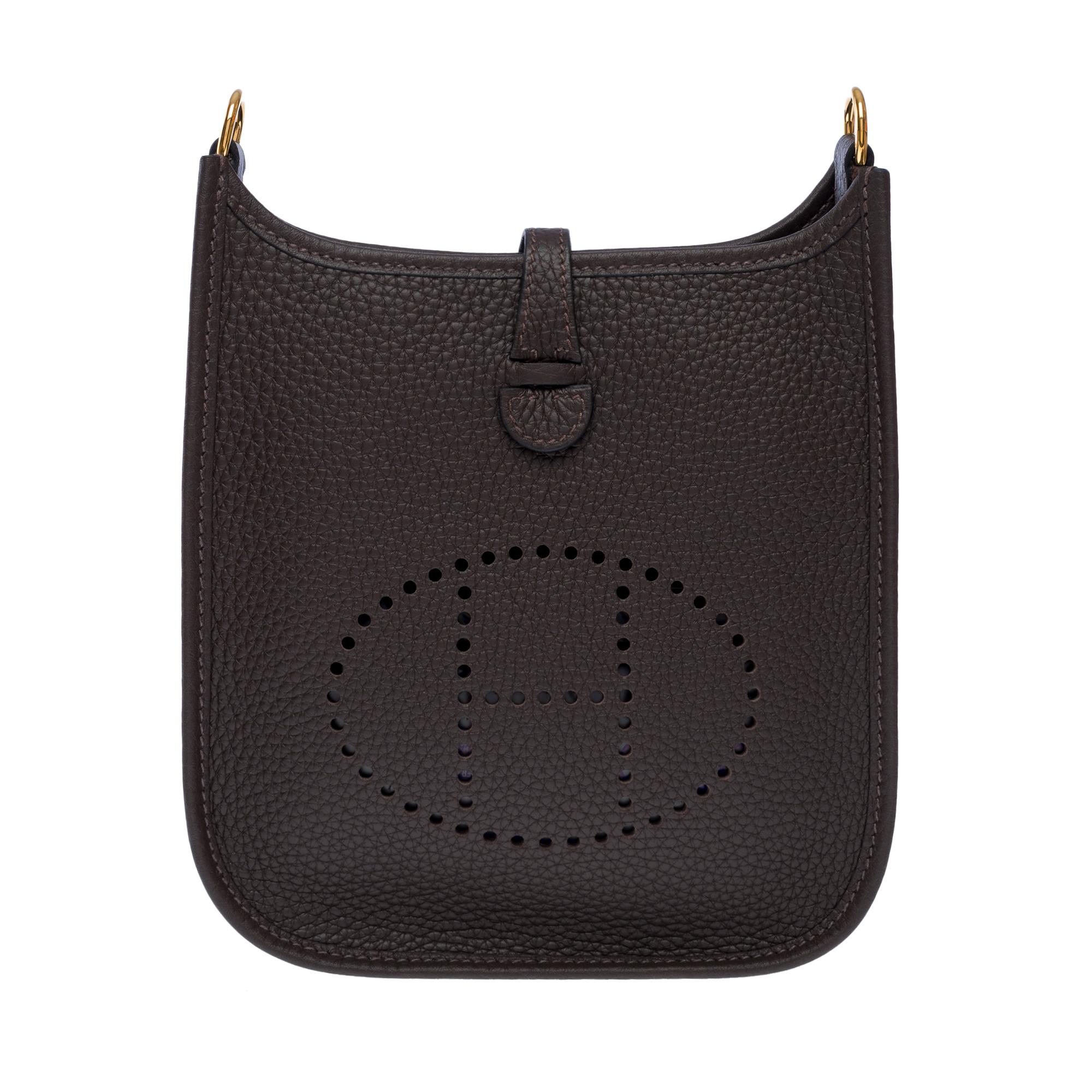 Beige New Hermès Evelyne TPM Amazone shoulder bag in Brown Taurillon leather, GHW For Sale