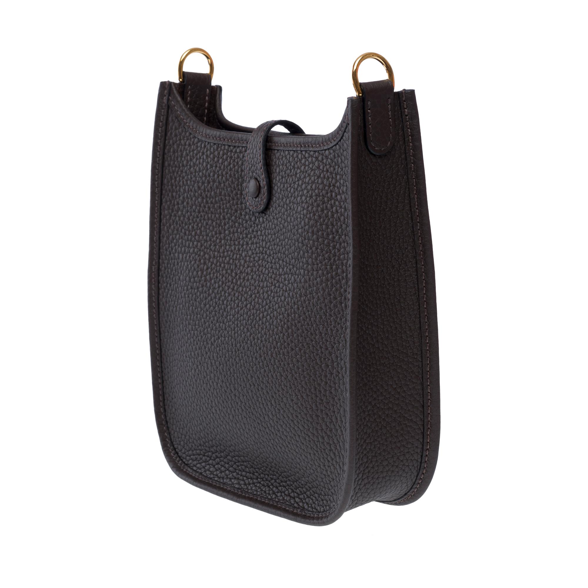 New Hermès Evelyne TPM Amazone shoulder bag in Brown Taurillon leather, GHW For Sale 1