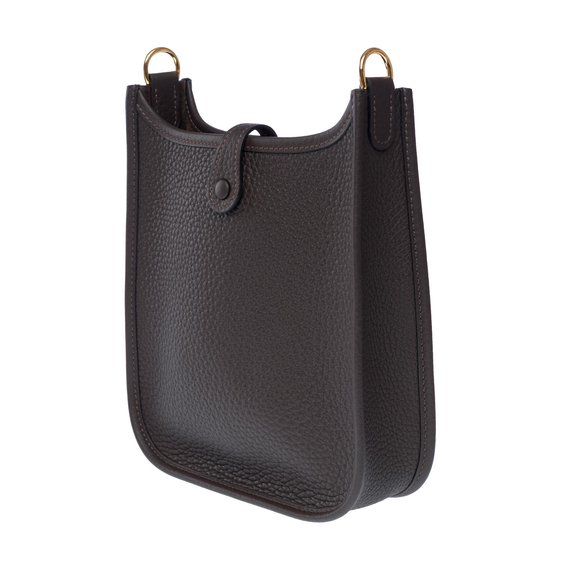 New Hermès Evelyne TPM Amazone shoulder bag in Brown Taurillon leather, GHW 2