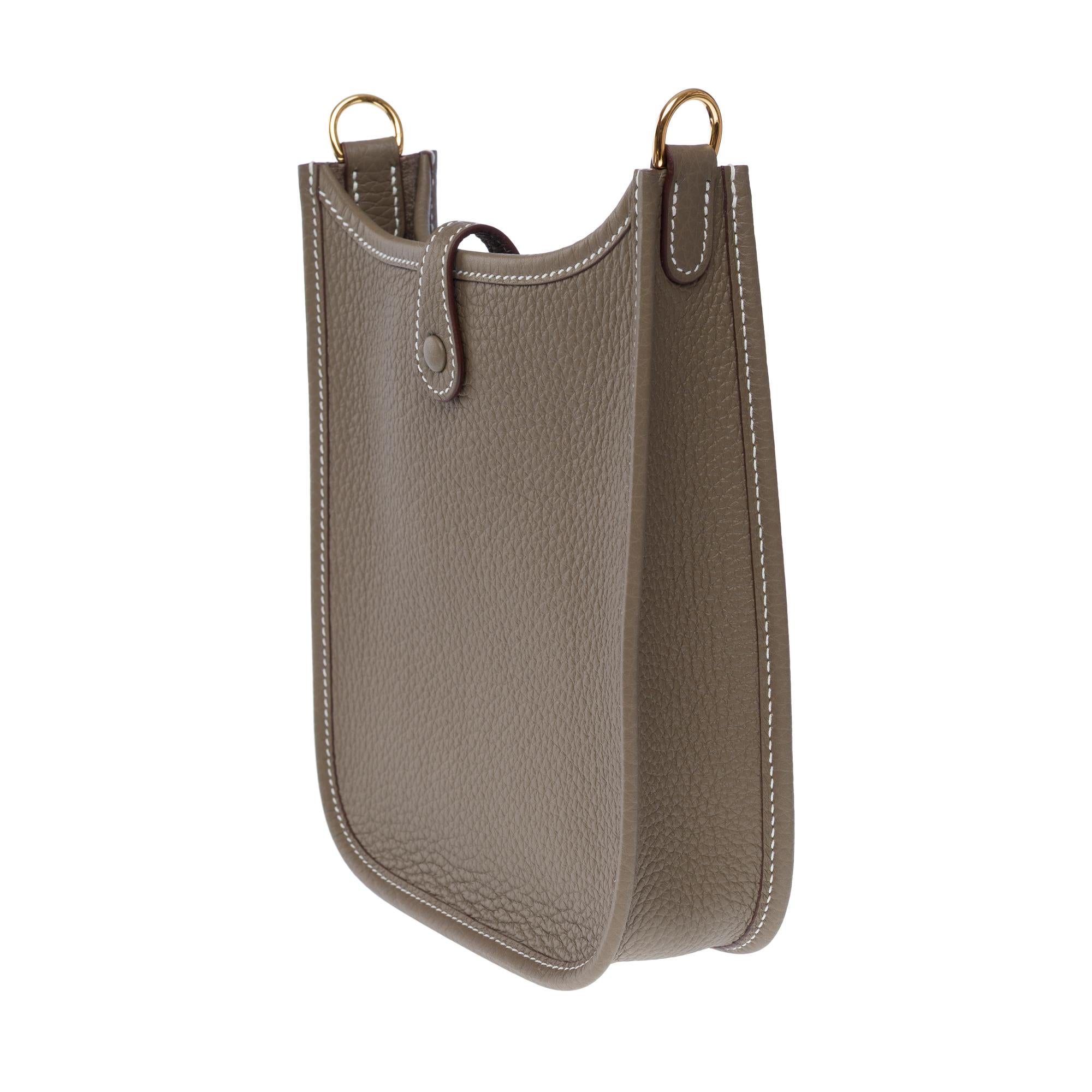 New Hermès Evelyne TPM shoulder bag in Etoupe Taurillon Clemence Leather, GHW For Sale 1