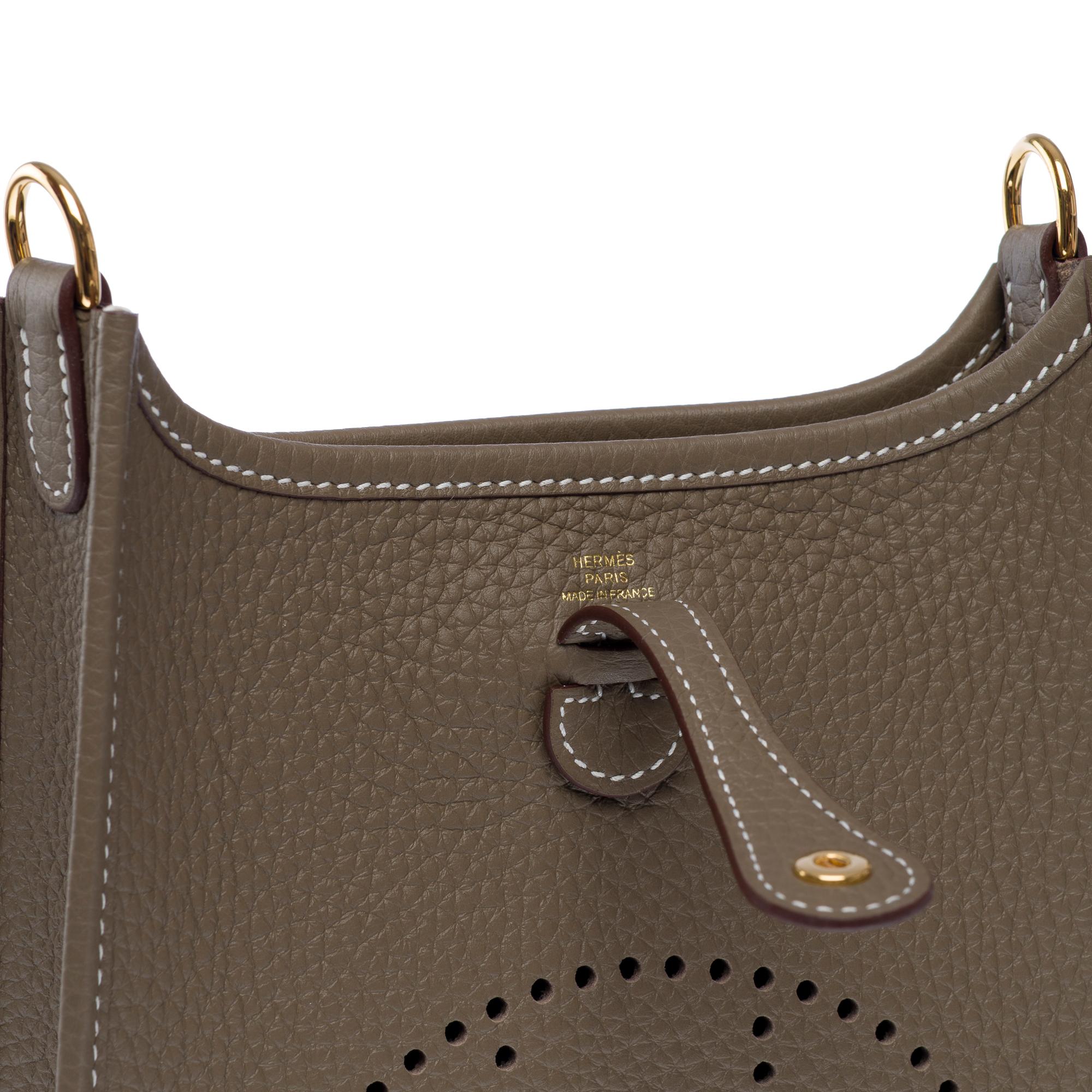 New Hermès Evelyne TPM shoulder bag in Etoupe Taurillon Clemence Leather, GHW For Sale 2