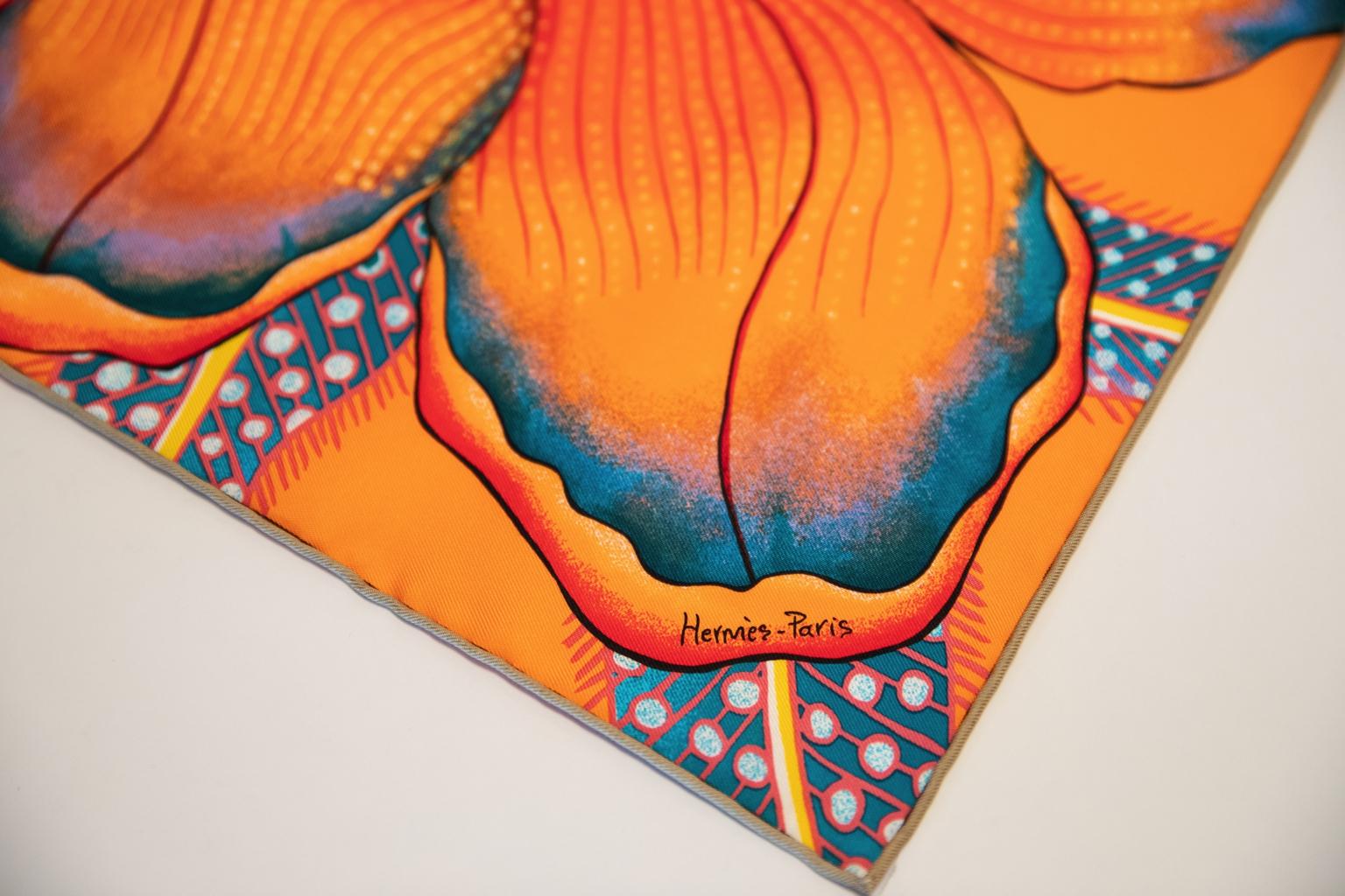 hermes baobab cat scarf