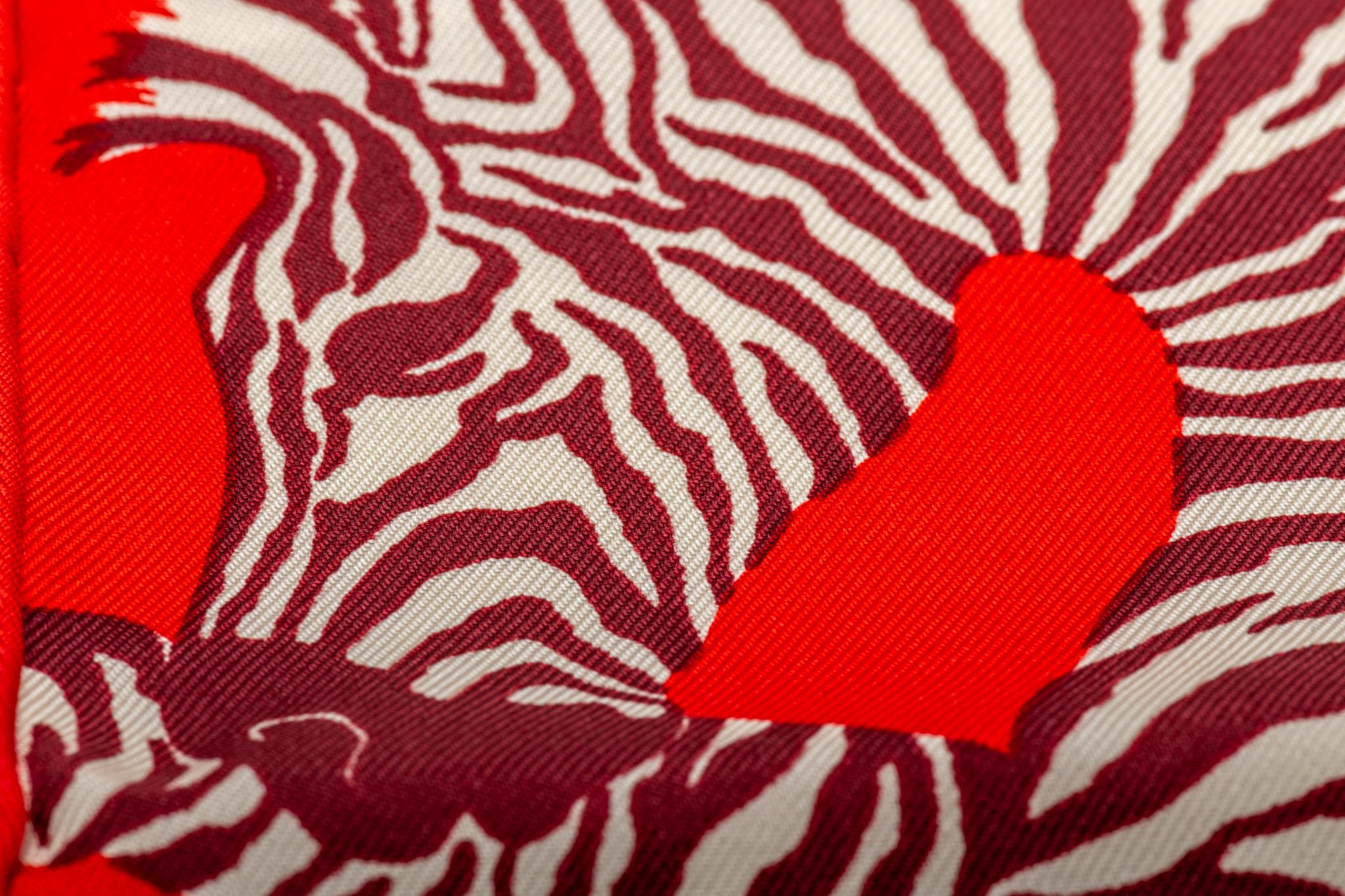 hermes zebra scarf