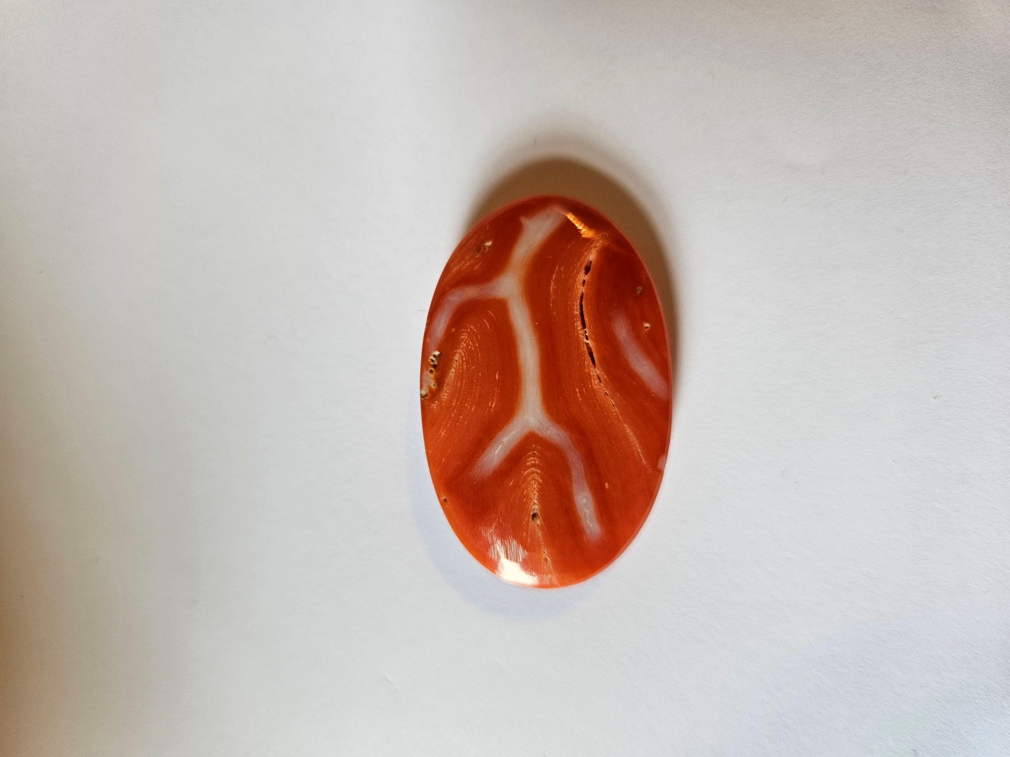 Taglio ovale NUOVO ENORME GORGEOUS Corallo Naturale Arancione Rosa Certificato 50,65 Carati in vendita