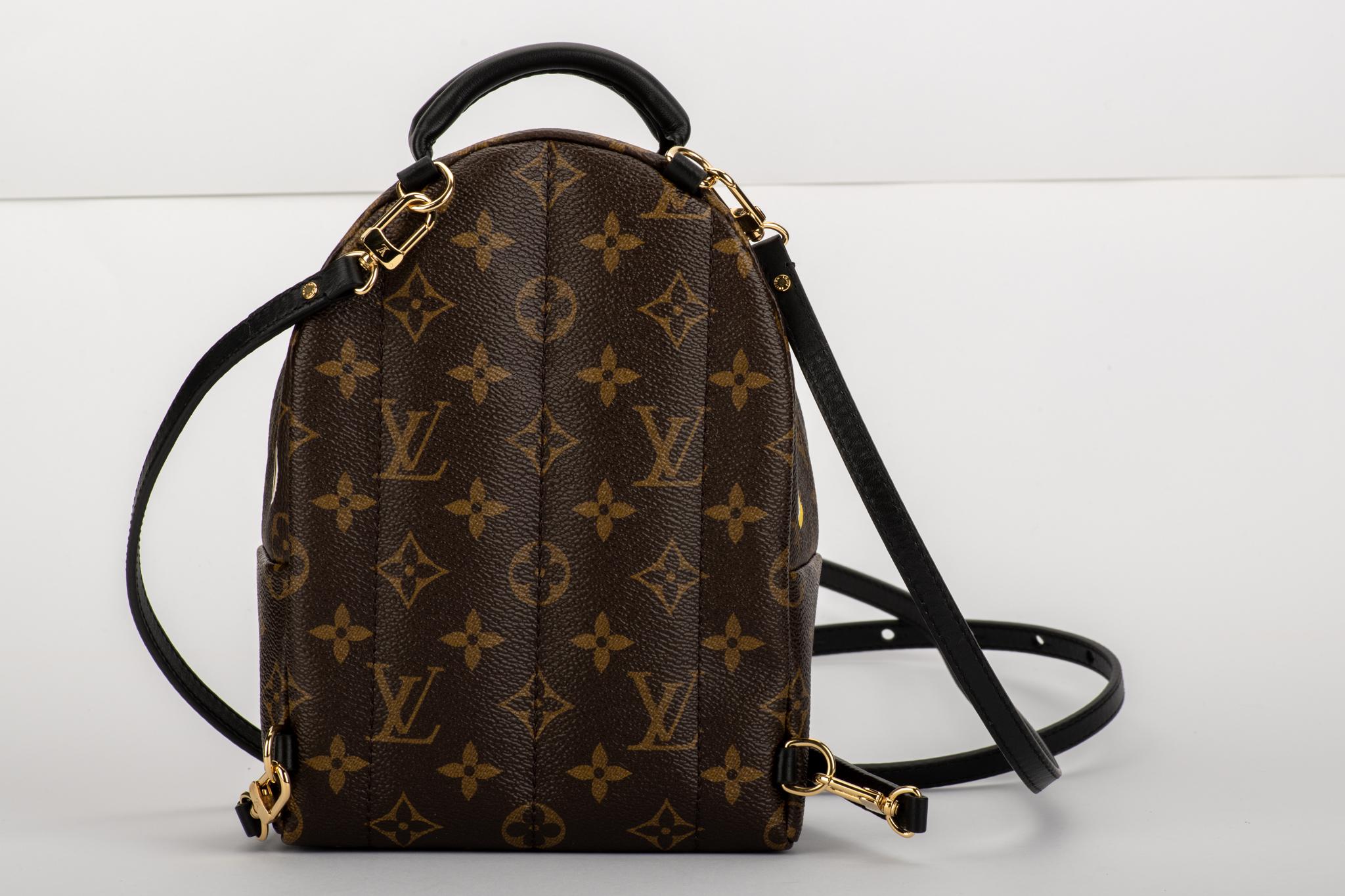 louis vuitton limited edition backpack